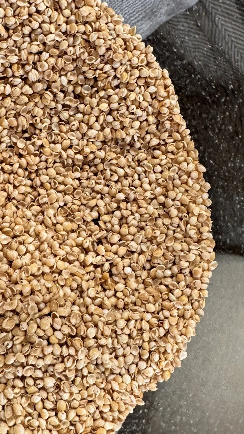 Bio-Hirsespelz Makroaufnahme - natürliche Füllung für Nackenkissen | Gamaswelt